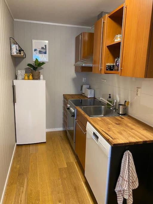 Aurora Apartment Very Close To Cable Car And Sherpatrappa Tromsø Eksteriør billede